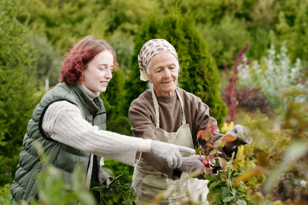Entretien de jardin et aide à la personne
